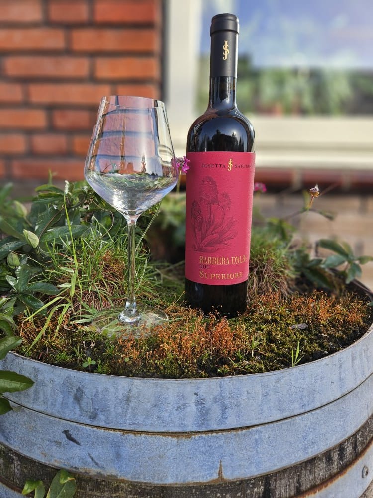 Josetta Saffirio - Barbera d'Alba Superiore