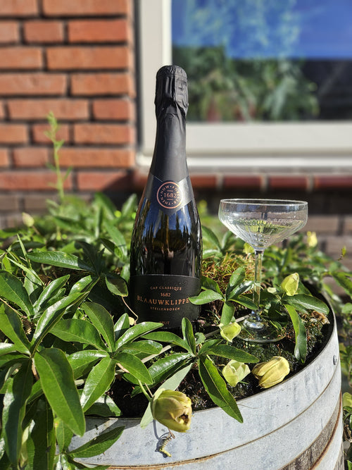 Blaauwklippen Brut MCC 2022