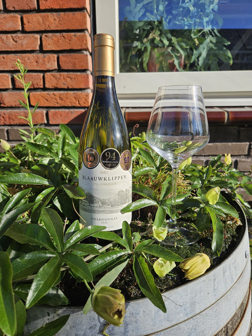 Blaauwklippen Chardonnay 2023